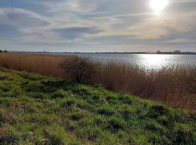 Friedrichsdorf *